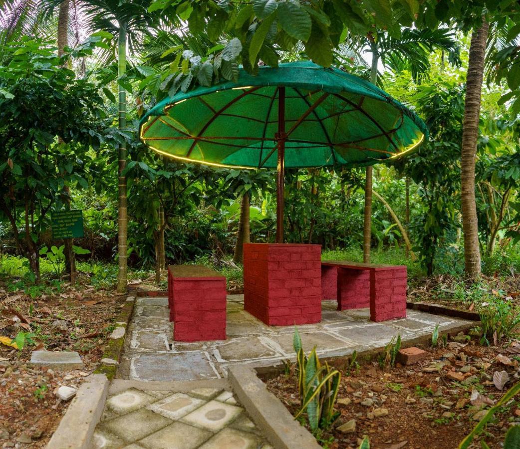 Jasmine Land Homestay Udupi Zewnętrze zdjęcie