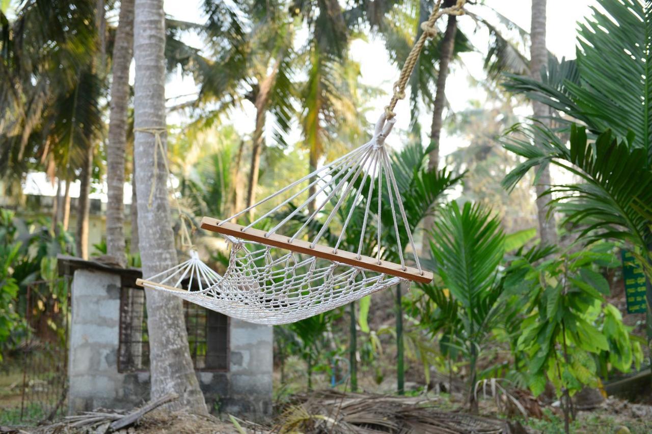 Jasmine Land Homestay Udupi Zewnętrze zdjęcie